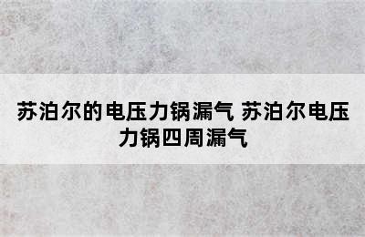 苏泊尔的电压力锅漏气 苏泊尔电压力锅四周漏气